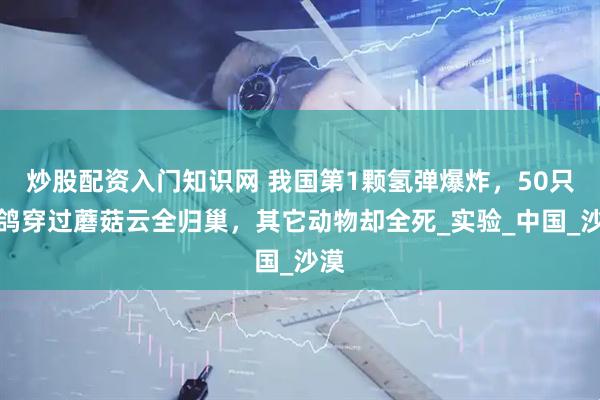 炒股配資入門知識網(wǎng) 我國第1顆氫彈爆炸，50只軍鴿穿過蘑菇云全歸巢，其它動物卻全死_實驗_中國_沙漠
